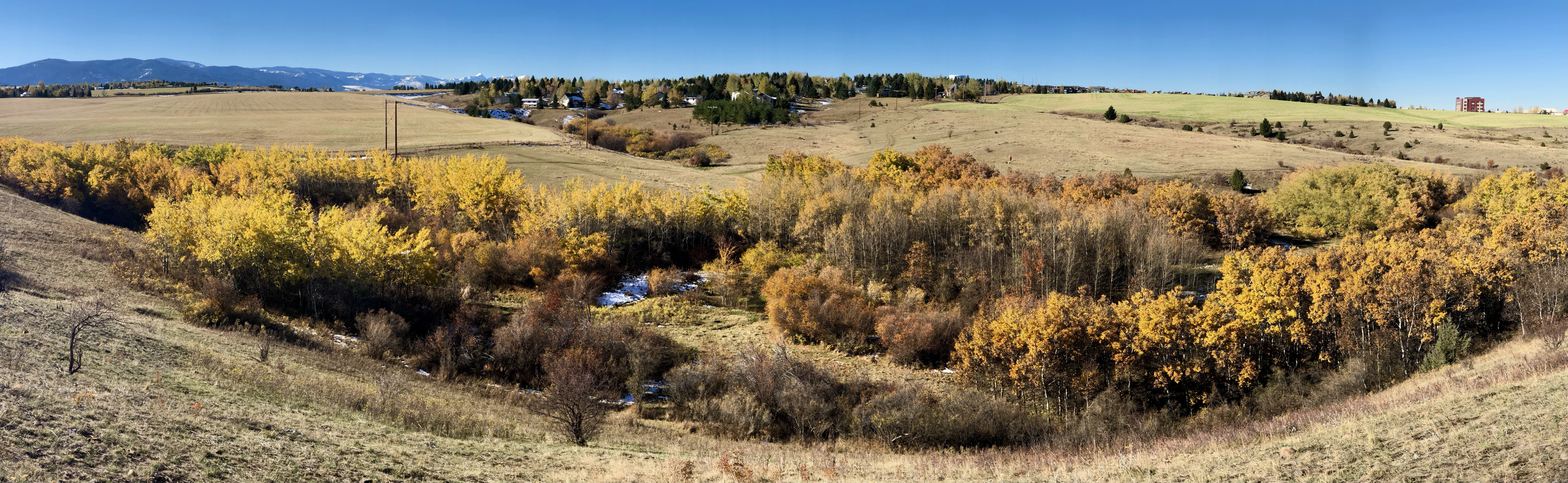 Autumn scenery (decorative)