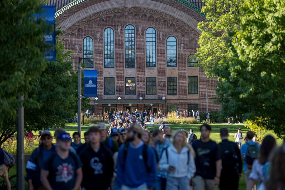 Students walk across a green lawn on the Montana State University campus, with a large crowd moving toward a historic red-brick academic building framed by trees in the background.