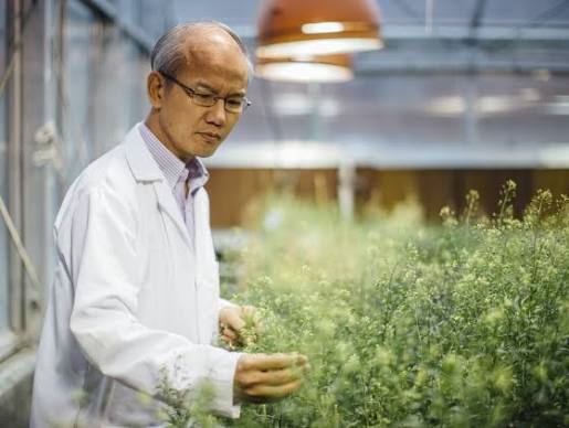 Plant Growth Center